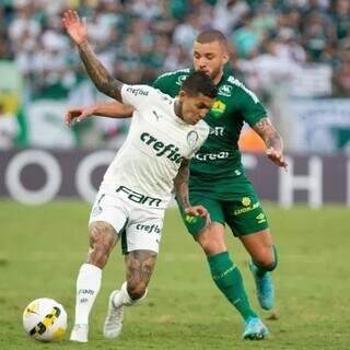 Palmeiras x Cuiabá, partida válida pelo Campeonato Brasileiro. (Foto: Gil Gomes/AGIF)