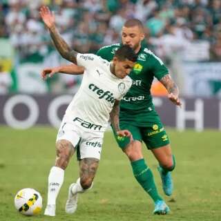 Campeão Palmeiras fica no empate contra o Cuiabá