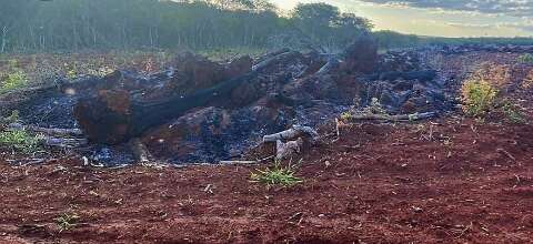 Com queimada proibida, homem é autuado em R$ 22 mil após atear fogo