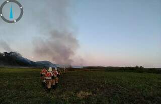 Bombeiros combatem incêndio no Pantanal, a 250 quilômetros de Corumbá. (Foto: Corpo de Bombeiros)
