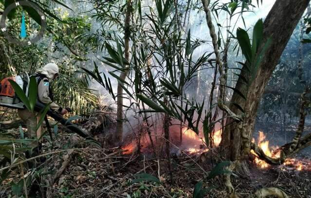 Combate ao fogo na Serra do Amolar continua e mais uma aeronave &eacute; destacada