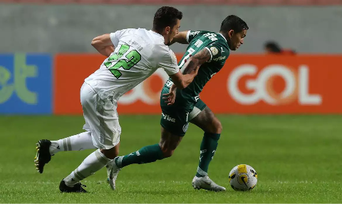Palmeiras recebe o América-MG no jogo de entrega da taça do Brasileirão 2022