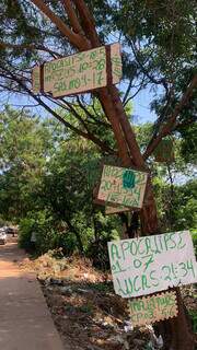 Placas na Rua Francisco de Souza. (Foto: Ângela Kempfer)