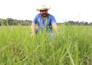 Pesquisador Maykel Sales avalia consórcio de pasto com a BRS Oquira (Foto: Célio Roberto Maia/Embrapa)