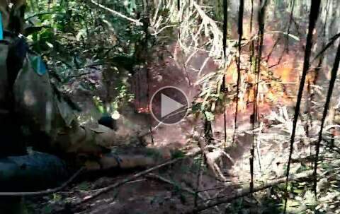 Fogo destrói área igual a de 247 campos de futebol no Pantanal 