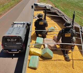 Policiais do DOF sobre carreta que levava maconha escondida em carga de milho (Foto: Divulgação)