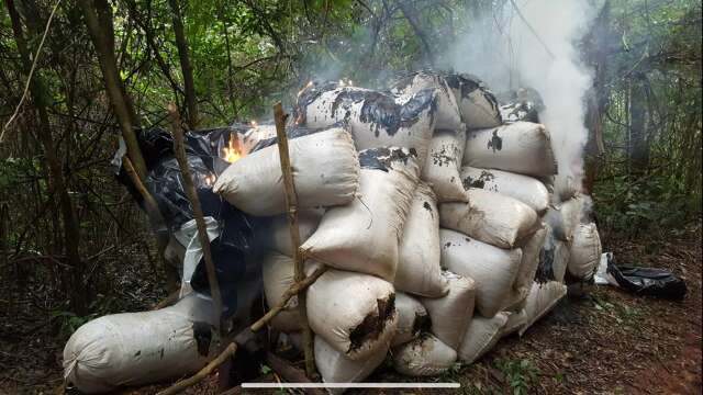 Ag&ecirc;ncia antidrogas localiza produ&ccedil;&atilde;o e destr&oacute;i 16,8 toneladas de maconha