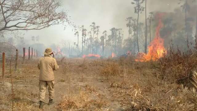 Pesquisa aponta que 2021 foi ano mais seco do Pantanal