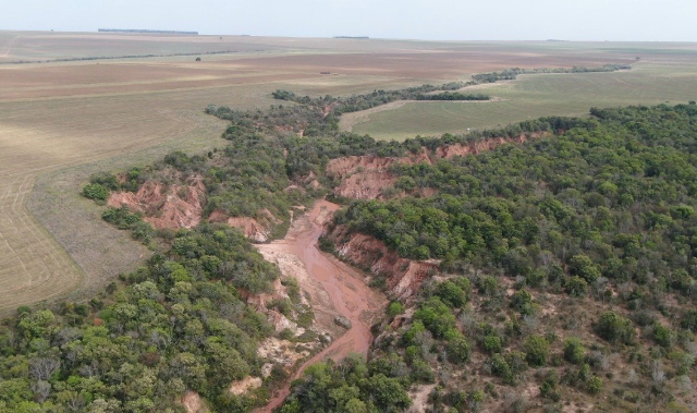 Pantanal estar&aacute; na discuss&atilde;o da COP27 para falar do mercado de carbono