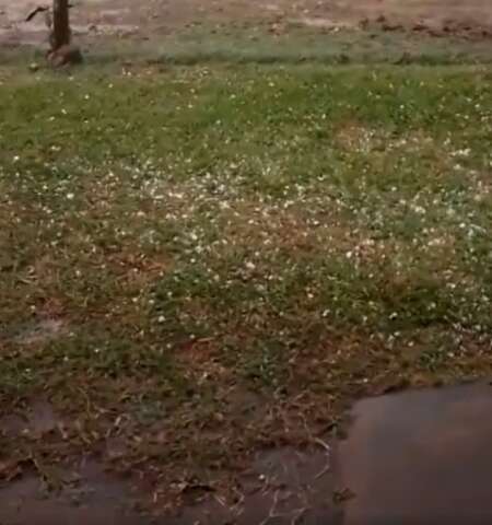 Chuva de granizo atinge fazenda em F&aacute;tima do Sul