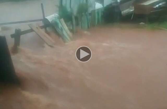 Chuva em Ponta Por&atilde; alaga casas e gera preju&iacute;zos a moradores