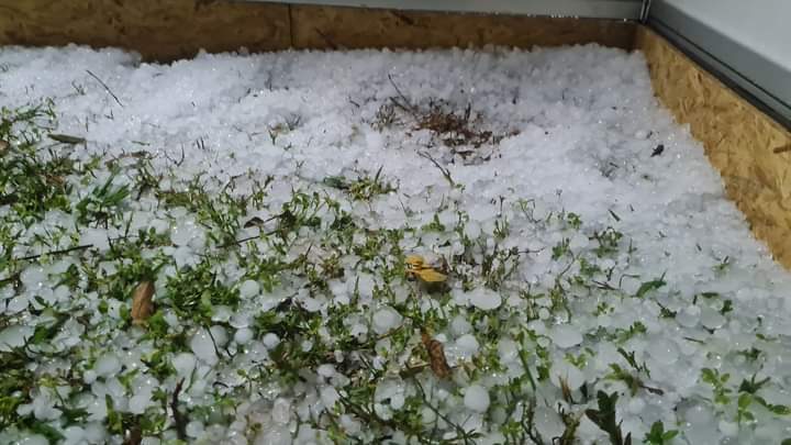 Dia amanhece com chuva, neblina e friozinho nos quatro cantos de MS - Meio  Ambiente - Campo Grande News