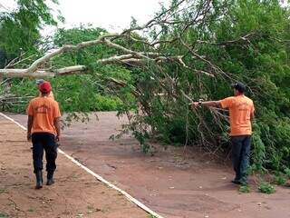 Temporal derrubou &aacute;rvores, alagou casa e danificou telhado de escola