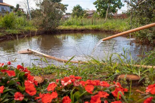 Reutiliza&ccedil;&atilde;o de &aacute;gua da chuva transformou comunidade e manteve horta &ldquo;verdinha&rdquo; 