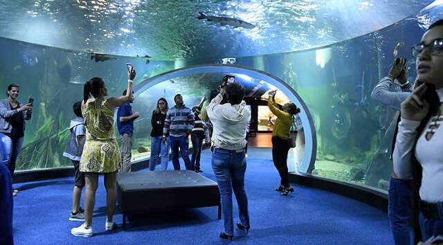 Com distribui&ccedil;&atilde;o de 1,2 mil senhas, Bioparque funciona normalmente neste feriado