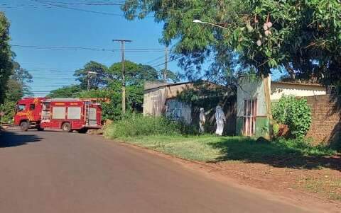 Cachorro morre e seis pessoas s&atilde;o internadas ap&oacute;s ataque de abelhas