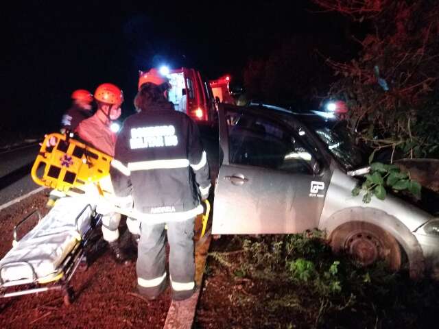 Depois de atropelar capivara, carro sai da pista e colide em &aacute;rvore