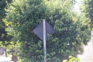 Placa de sinalização encoberta por árvore (Foto: Marcos Maluf)