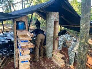 Policiais retiram tabletes de maconha deixados nas prensas artesanais de acampamento (Foto: Divulgação)