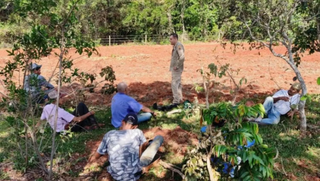 Adolescente que desapareceu em &aacute;rea rural &eacute; encontrado desmaiado