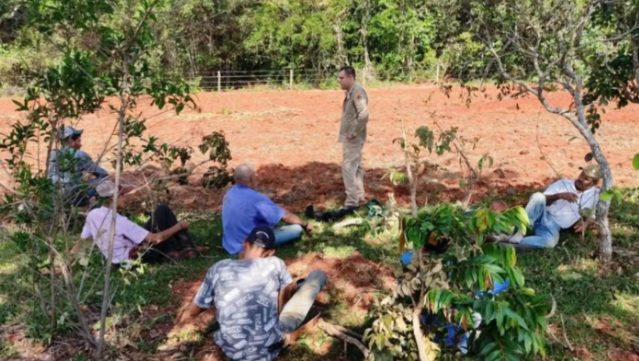 Adolescente que desapareceu em &aacute;rea rural &eacute; encontrado desmaiado