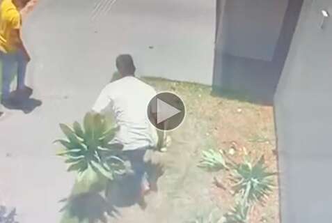 Vídeo mostra ação "relâmpago" de dupla furtando plantas com facão