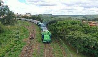 Trem sobre trilhos com transporte de carga que opera no Estado. (Foto: Divulgação)