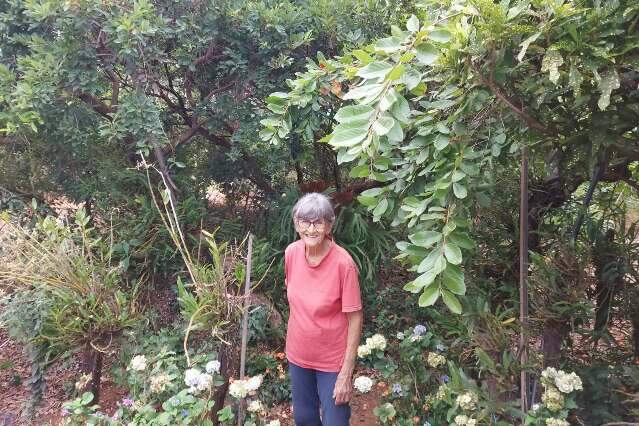 Nair levou 67 anos para criar sua “minifloresta” em pleno Amambaí 