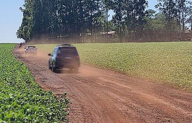 Homem morre esmagado ao cortar eucalipto em propriedade rural