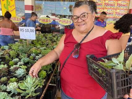 Feira de suculentas a partir de R$ 3 lota estacionamento de mercado