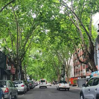 Rua arborizada é o que mais ficou na memória de Mariana. 