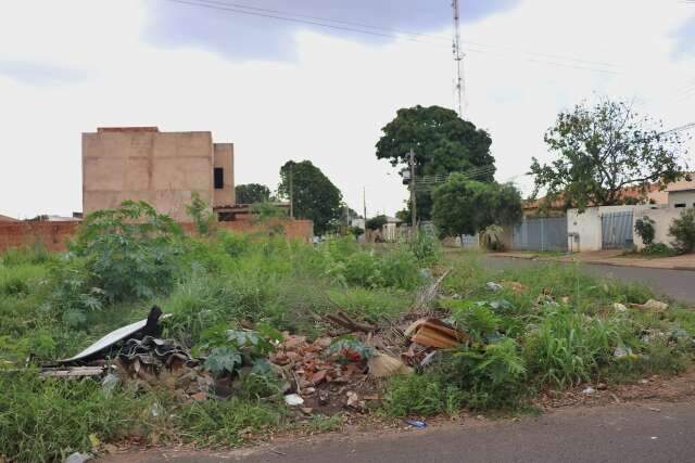 A Deus dar&aacute;, terrenos baldios acumulam lixo e atraem bichos em Campo Grande