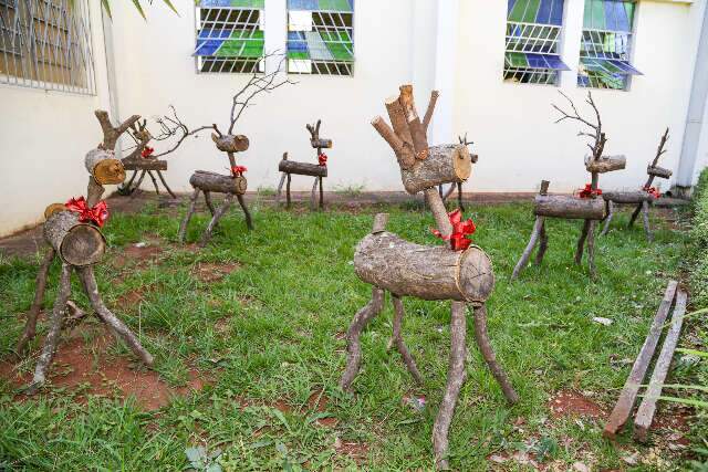 Tocos viram renas e mais de 3 mil garrafas formam decoração de Natal