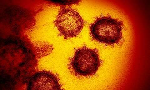 São identificadas duas novas linhagens do coronavírus no Brasil