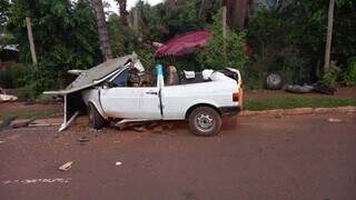 Carro ficou destruído após colisão com árvore (Foto: Direto das Ruas)