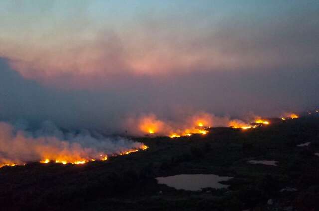 Queimadas no Pantanal reduziram 83% neste ano em rela&ccedil;&atilde;o a 2021