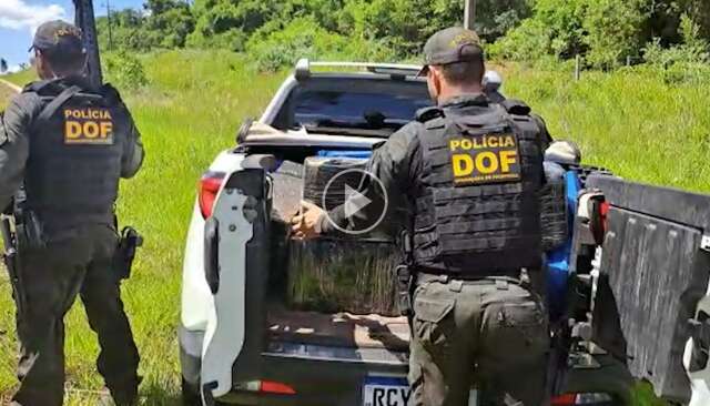 Traficante foge e abandona picape roubada com 1 tonelada de maconha