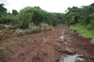 No parque há a nascente do Córrego Sóter, assoreado por falta de manutenção (Foto: Kisie Ainoã)