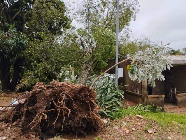 Decretada situa&ccedil;&atilde;o de emerg&ecirc;ncia em Caracol ap&oacute;s temporal