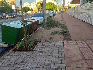 Comerciante reclama que padroniza&ccedil;&atilde;o de cal&ccedil;ada deixou pequeno trecho de fora