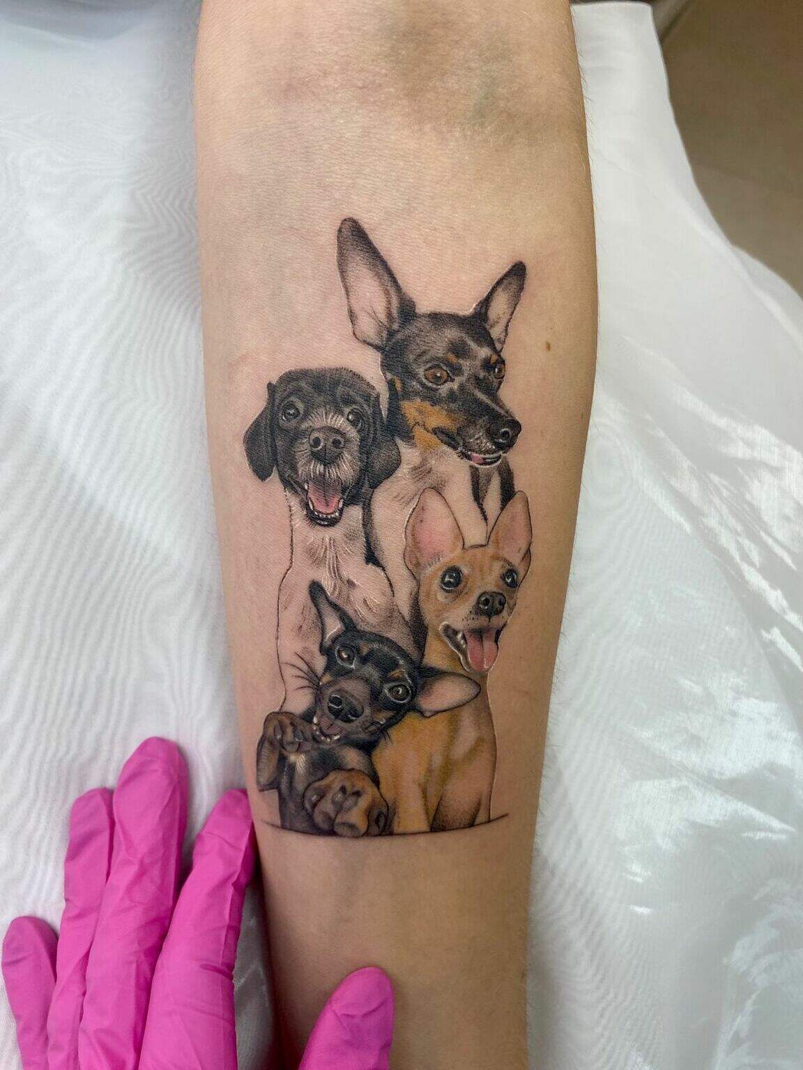 Significado Dos Animais Nas Tatuagens