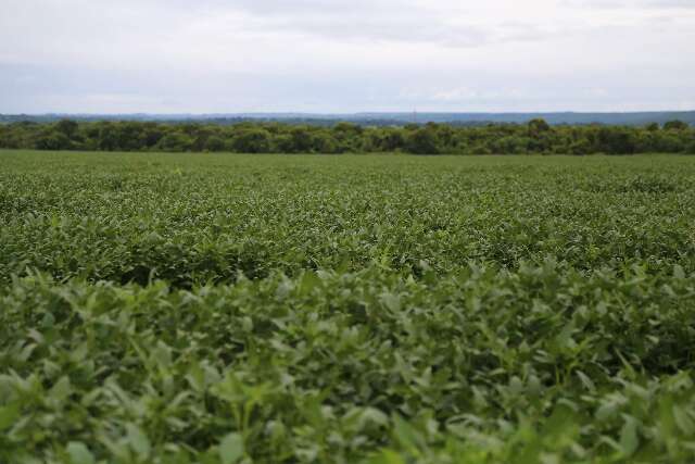 IBGE: 32% dos solos do pa&iacute;s t&ecirc;m potencial natural para a agricultura