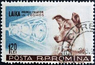 Laika ganhou um selo em homenagem como personagem sacrificada na Guerra Fria. (Foto: Reprodução)