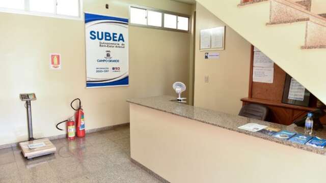 Unidade de Bem-Estar Animal funciona a partir de quinta-feira na Capital