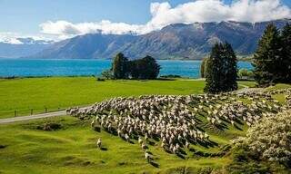 País de belas paisagens, a Nova Zelândia aparece na lista dos piores lugares do mundo para os estrangeiros – Foto: Reprodução