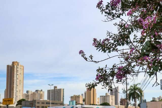 Quinta-feira deve ser de tempo estável, com máxima de 39ºC em MS