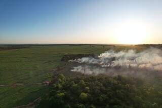 Opera&ccedil;&atilde;o da PMA multa infrator em R$ 14 mil por inc&ecirc;ndio em 14 hectares