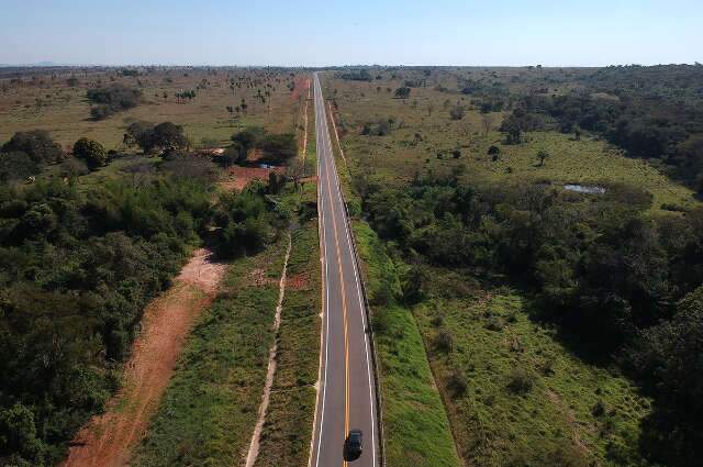 Idoso morre ap&oacute;s ser atropelado por motorista embriagado em rodovia