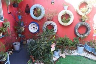Edelvita tem a casa mais colorida do bairro, inspirada at&eacute; em girassol