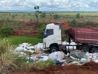 Carreta tomba e carga de pisos fica espalhada &agrave;s margens da BR-163 